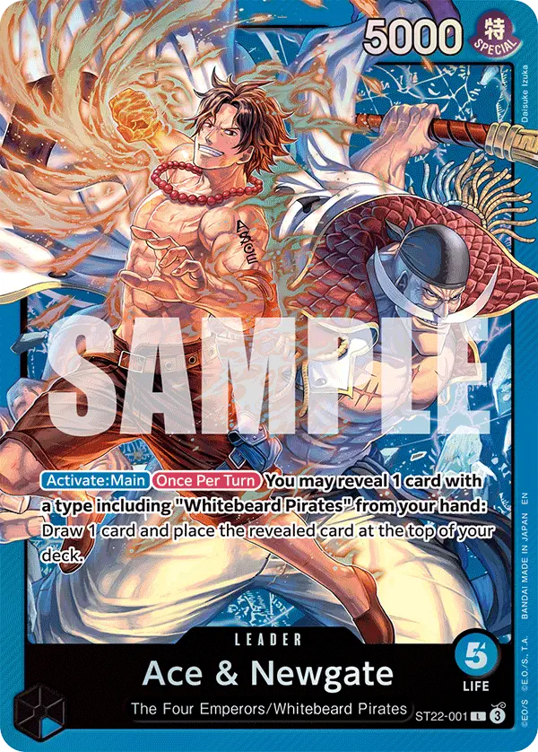 Immagine carta Ace & Newgate